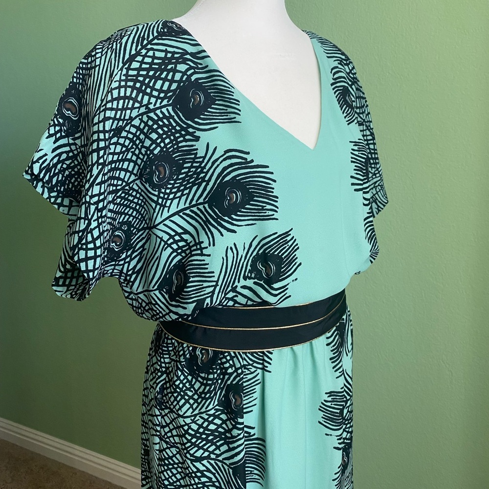 Dress purchased at Anthropologie. Size Medium